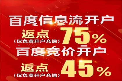 百度竞价代理优化策略：案例分享与借鉴